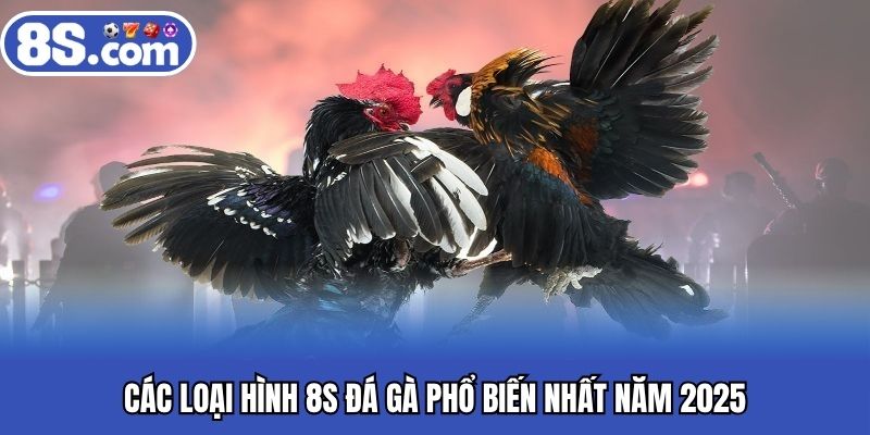 Các loại hình 8S đá gà phổ biến nhất năm 2025