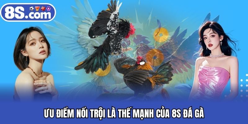 Ưu điểm nổi trội là thế mạnh của 8S đá gà