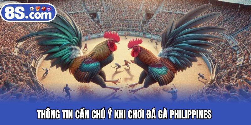 Thông tin cần chú ý khi chơi đá gà philippines 
